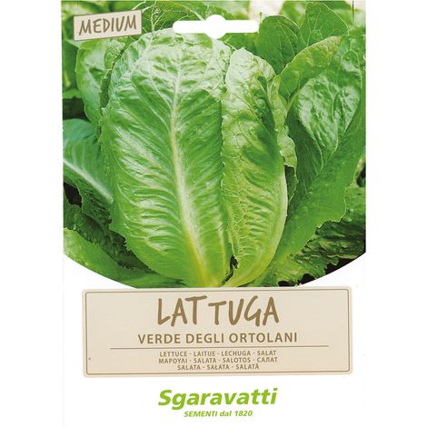 SEMI PER ORTAGGI E VEGETALI lattuga verde degli ortolani Q.TA 20 lattuga verde degli ortolani