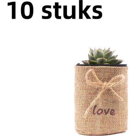 Lot de 10 sacs de rangement jaunes avec cordon pour plantes et bonsaïs (1/5)