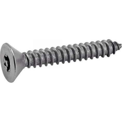 Viti Acton din 7982 autofilettanti autoforanti 4.2 mm 38 mm