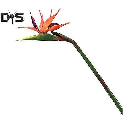 Fleur artificielle réaliste en forme d'oiseau de paradis, inaltérable et facile d'entretien, pour la décoration intérieure.rouge (1/5)