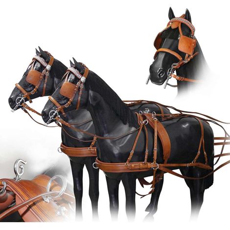 Cob, chestnut rosso: Reitgeschirr Modell Dipomat mit nylonverstärktem Leder für zusätzliche Festigkeit