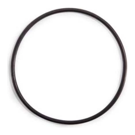 INTEX - 11824 - Guarnizione del prefiltro per la  pompa a sabbia (1/3)