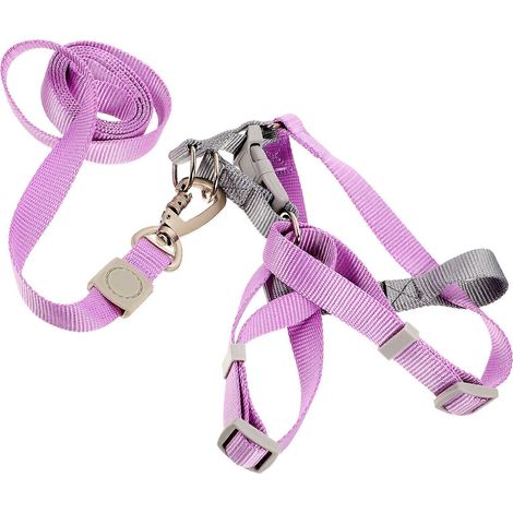 Conjunto de arnés y correa para cachorro, compacto y ajustable, color violeta. (1/5)