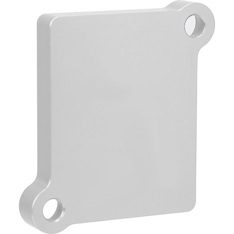 Isolierplatte für Drosselklappensteuerung für RSX/EP3 K20, silber (1/5)