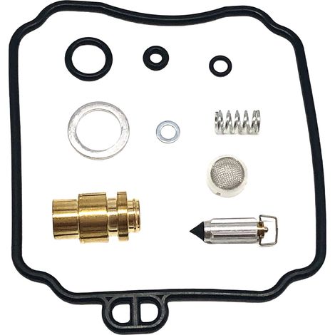 Kit de réfortiorn ctorrburtorteur - cormptortibgivthere XV250 - F39 (1/4)