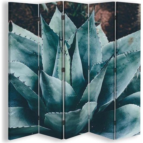 Paravento bilaterale, Un'agave robusta - 180x170 (1/5)