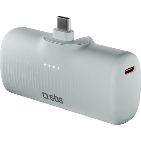 Batterie externe EcoPower 5000 mAh 10 W avec port USB-C intégré - Gris (1/5)