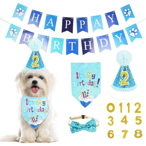Ensemble bandana, chapeau et banderole pour anniversaire de chien, accessoires de fête d'anniversaire pour chien, décorations d'anniversaire (1/3)