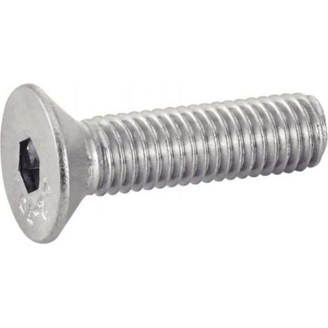 Tornillo Acton 642034X20 acero inoxidable 4 mm x 20 mm