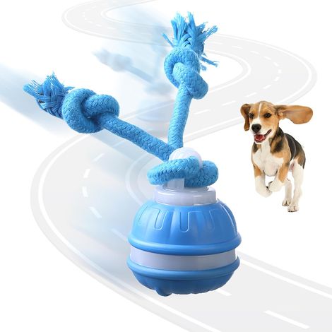 Jouet Interactif pour Chien, Jouet Interactif Intelligent pour Chien Qui Soulage l'ennui, Balle Chien avec Corde à Mâcher, Balle Chiens Qui Bouge Toute Seule pour de Petite Moyenne (Bleu) (1/5)