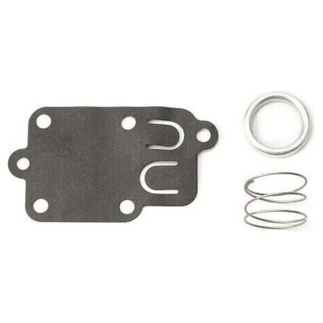 Pair Membrane carburateur Briggs et Stratton (1/4)