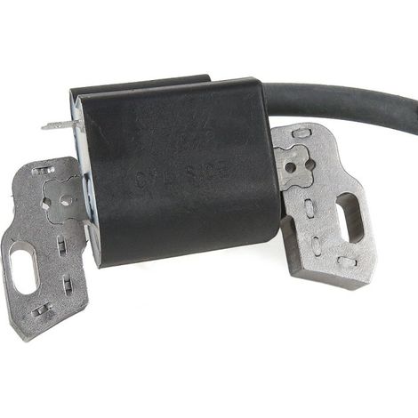 Bobine d'allumage pour Briggs & Stratton 450E, 500E, 550E, 600E, 575EX (1/3)