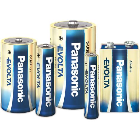 Panasonic Evolta LR20EGE - Batterie 2 x D - Alkalisch