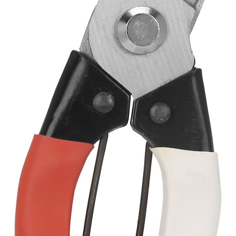 Sécateur Manuel en Acier pour Taille de Fruits et Arbres Jardin (1/5)