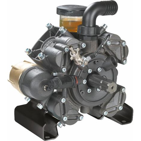 Pompa alta pressione APS 96 m/f (1/4)