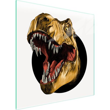 PIASTRA PROTETTIVA IN VETRO PER STUFA 50x52 DINOSAURO (1/5)
