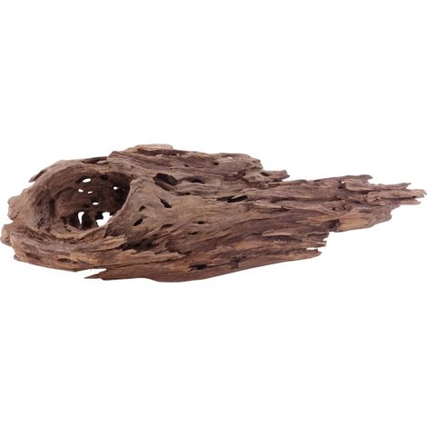 XL Honey Comb Wurzel Nr.5152 Holz Deko Aquascaping