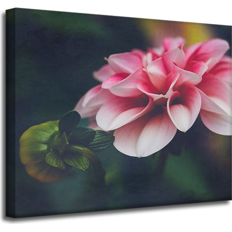 Leinwanddruck Botanica Pink Dahlia 50x40 cm