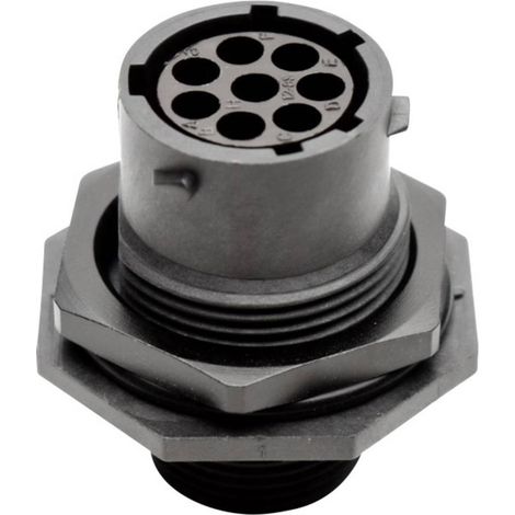 Amphenol RTS 7 12N 8S03 Cosse cylindrique mâle embase femelle Nombre total de pôles: 8 Série (connecteur rond): Ecomate Aquarius 1 pc(s) X555701 (1/2)