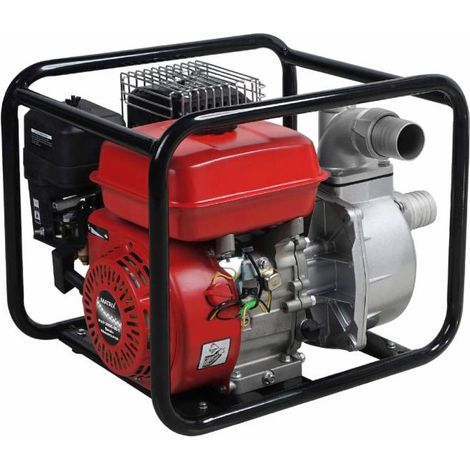Motopompa benzina Ama da 196cc prevalenza 65m pescaggio 8m (1/2)