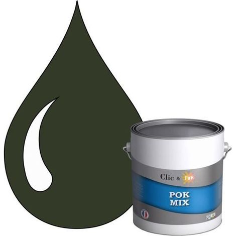 Peinture d'Accroche et Finition 2 en 1 - POK - RAL 6007 - Vert Bouteille - Satiné - 3L (1/4)