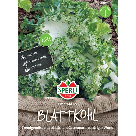 Sperli Blattkohl Emerald Ice - Gemüsesamen (1/3)