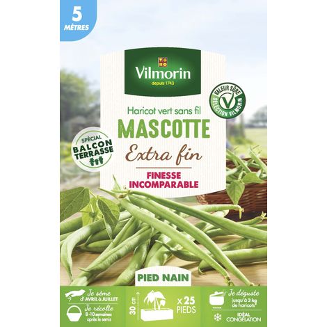 Haricot Nain Vert Mascotte - 5 m Vilmorin (1/3)
