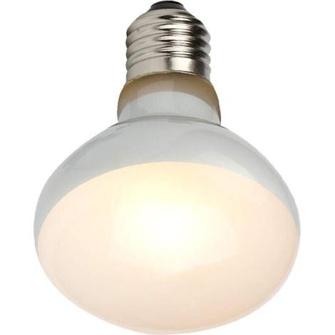 Lampe chauffante UVB pour reptiles (1 unité) : chaleur intense similaire à celle du soleil pour les reptiles et les amphibiens (1/5)