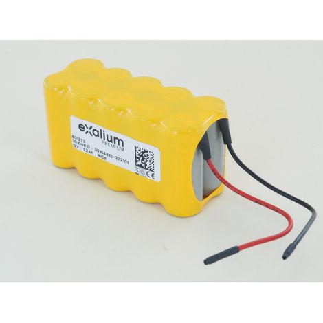 Batterie 12V 1.2Ah 10VE4/5A Sortie fils (801273)