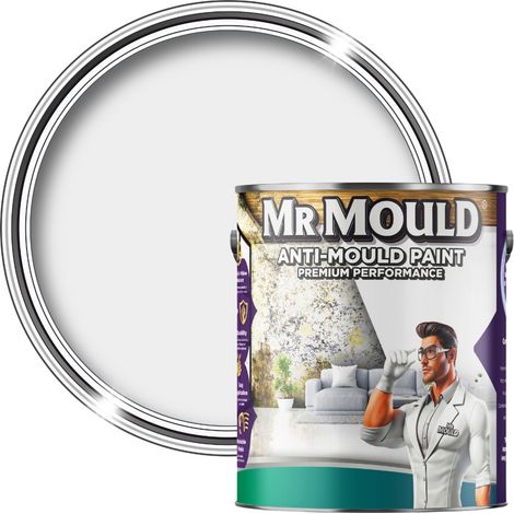 MR MOULD - Anti-Mould Paint - Premium Colour & Protection for Interior Walls & Ceilings - Light Grey - 1L