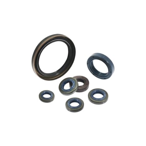 Schwungrad-Öldichtring für 3,5 PS T100 NGP Rasenmähermotor V6-2B-100-000