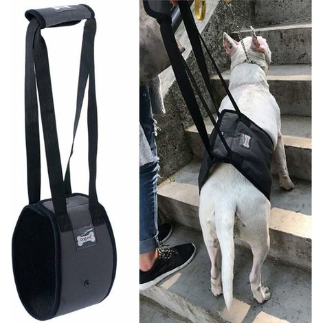 Harnais de levage pour chien, aide à la mobilité des jambes arrière, rééducation, taille S – DELKEVIC