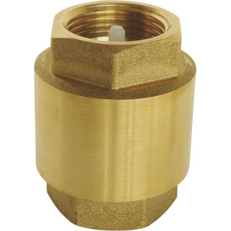 SOMATHERM POUR VOUS – Clapet anti-retour universel – Économique et universellement applicable, installation possible dans toutes les positions – FF 1 1/4 – Corps en laiton et tige en plastique – ACS (1/4)