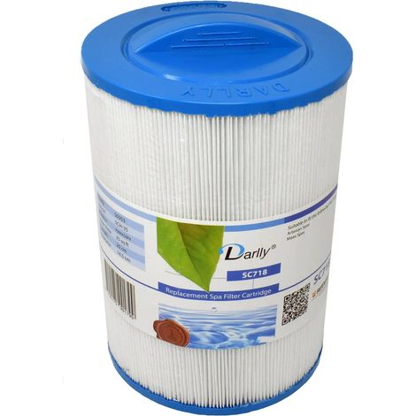 Filtro de agua Darlly Spa SC718 / 50353 / 5CH-35 (1/3)