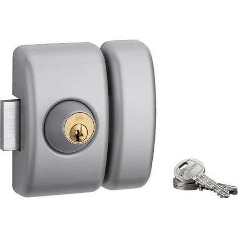 THIRARD - Verrou double entrée Universel pour porte d'entrée, cylindre 45mm, acier, 3 clés, epoxy argent - THIRARD (1/5)