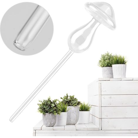 Automatische Bewässerungsanlage für Zimmerpflanzen und Blumen, durchsichtiger Glas-Wasserspender in Pilzform (1/5)