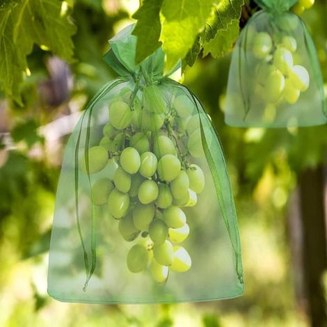 100 PCS Sacs de protection des fruits, 15 × 20cm, Sacs de filet de fruits réutilisables pour arbres fruitiers, Mesh de légumes de barrière d'insectes, pour prune de fraise d'arbre fruitier