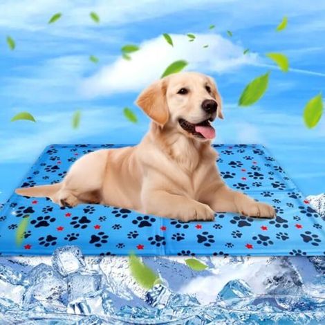 Tapis Rafraichissant Chien & Chat Coussin Rafraichissant pour Chien, Tapis Refrigerant pour Animaux, Étanche et Facile à Nettoyer, Convient aux Petits et Grands Chien de Compagnie, 60×50cm