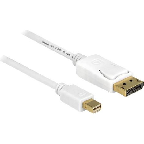 Câble adaptateur Delock 83484 5.00 m blanc A067071 (1/4)