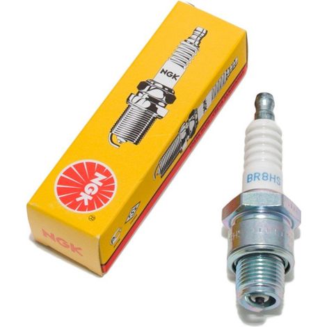 Candela per Motocicletta Ngk BR8HS entstoert