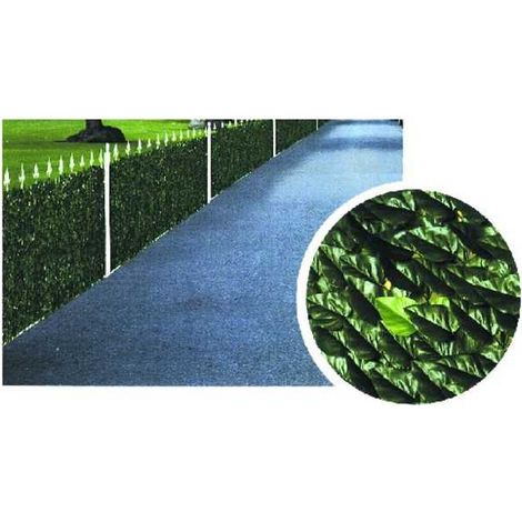 Seto Lauro h 100 m 3 Ilcampo 00029