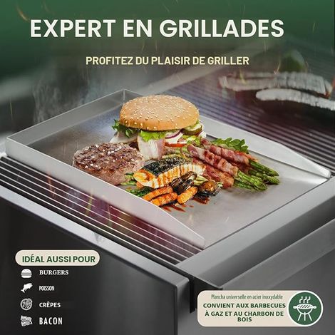 Plaque Plancha en Acier Inoxydable 28 x 20 cm, Plaque de Cuisson Réutilisable, Accessoire de Barbecue pour Barbecue à Gaz, Charbon et Jardin Extérieur (1/4)