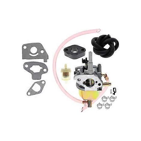 308054078 Vergaser-Zubehörsatz für RYi2200 RYCI2001