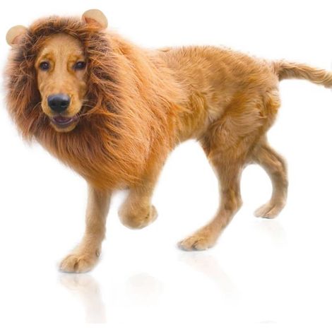 Perruque crinière de lion pour chien, avec oreilles, ajustable, marron clair (1/5)
