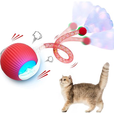 Jouet interactif pour chat avec son d'oiseau, balle roulante rechargeable, 3 modes de jeu (1/5)