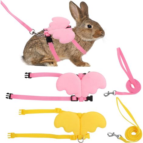 Ensemble harnais et laisse pour lapin (2 pièces), harnais réglable, harnais et laisse pour chaton, ensemble harnais et laisse « ailes mignonnes » pour chiot et chaton (1/5)