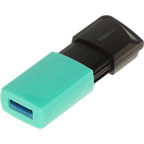 Pendrive FD-256/dtxm-kingston 256GB USB 3.2 Gen 1 (1/4)