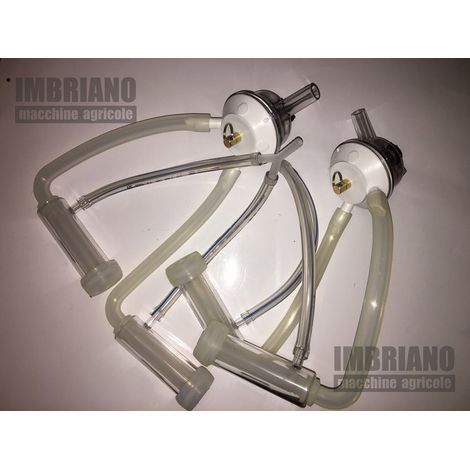 Doppio Gruppo Mungitura Capre Pecore Ovini (1/5)