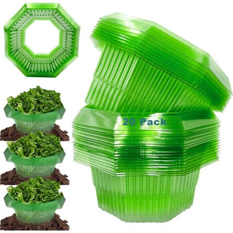Collari Antilumache Giardino 20 Pezzi Protezione Riutilizzabile (1/5)