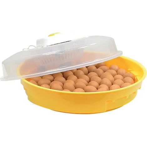 Couveuse manuelle 70 oeufs Puisor IO-202 avec thermostat réglable (1/5)